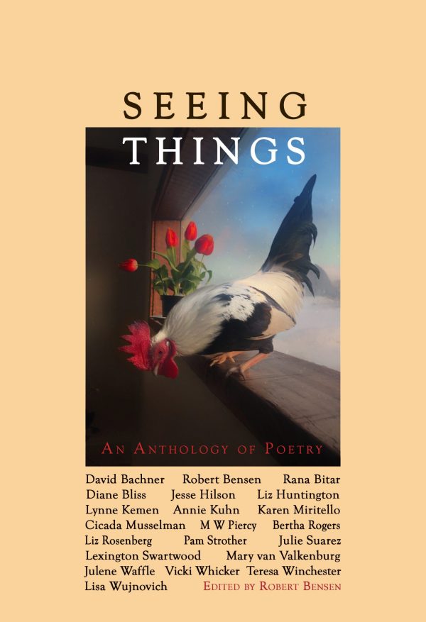 Seeing Things: An Anthology of Poetry