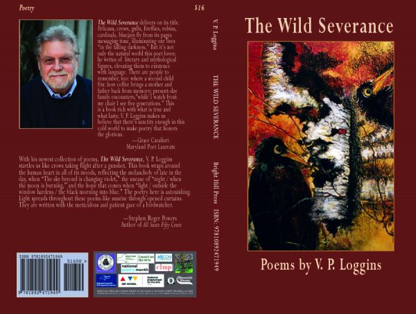 The Wild Severance - Image 3